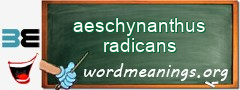 WordMeaning blackboard for aeschynanthus radicans